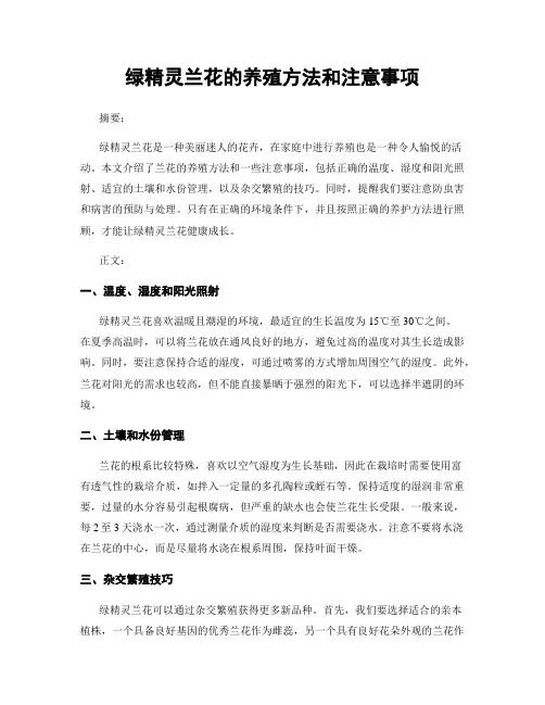 绿精灵兰花的养殖方法和注意事项