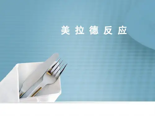 美 拉 德 反 应
