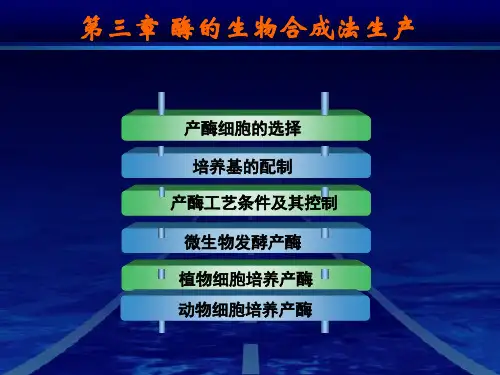 酶工程