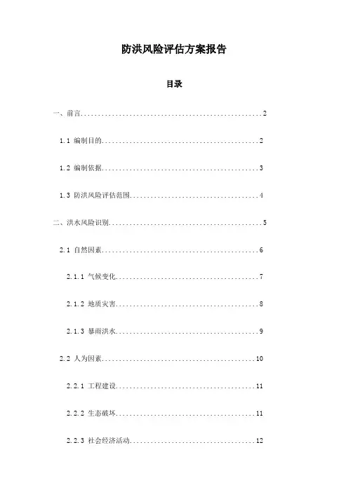 防洪风险评估方案报告
