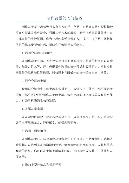 制作盆景的入门技巧