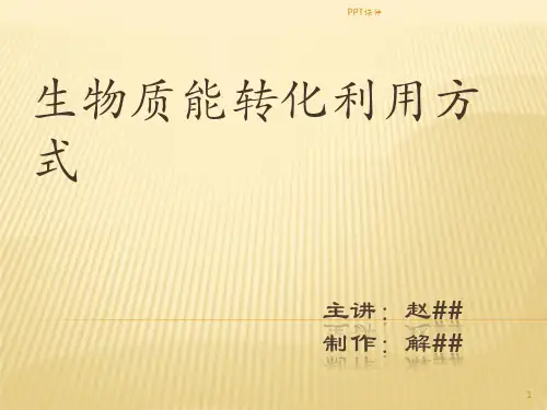 生物质能转化利用方式  ppt课件