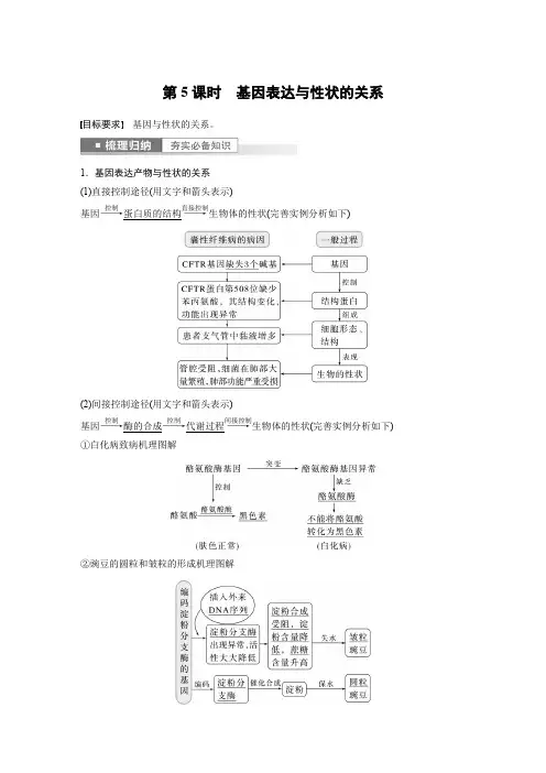 2023年高考生物一轮复习(全国版) 第6单元 第5课时 基因表达与性状的关系
