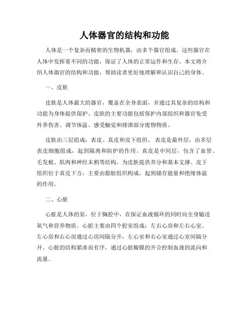 人体器官的结构和功能