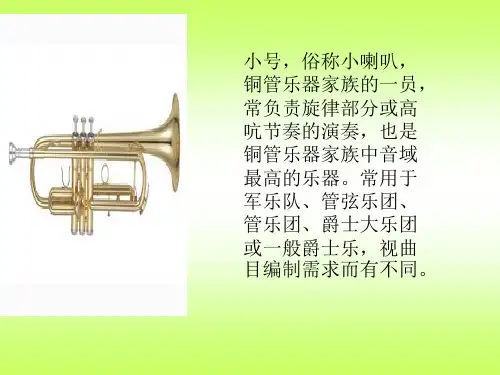 小学音乐  本课乐器简介