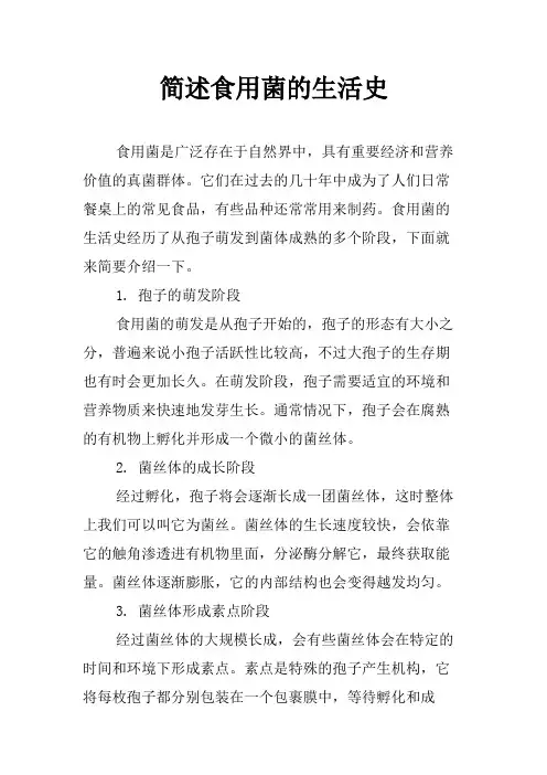 简述食用菌的生活史