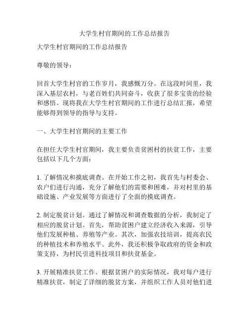 大学生村官期间的工作总结报告
