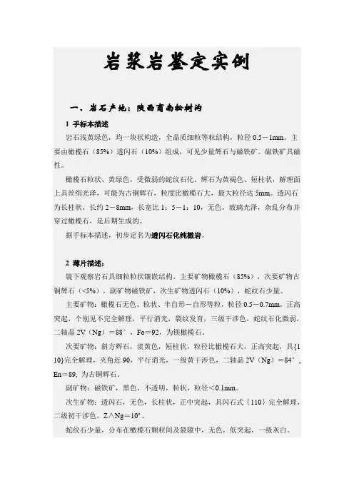 岩浆岩鉴定实例
