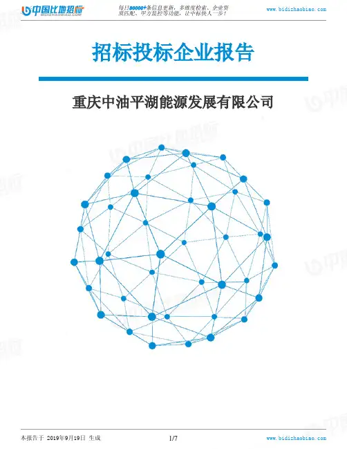 重庆中油平湖能源发展有限公司_招标190920