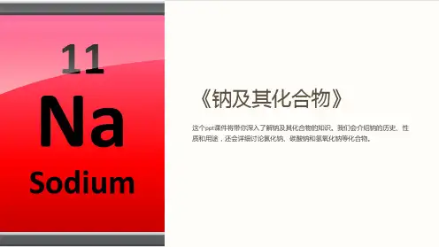 《钠及其化合物》课件