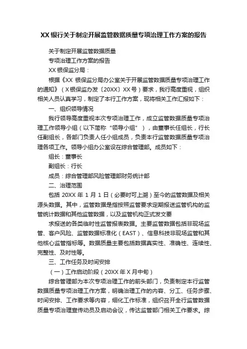 XX银行关于制定开展监管数据质量专项治理工作方案的报告