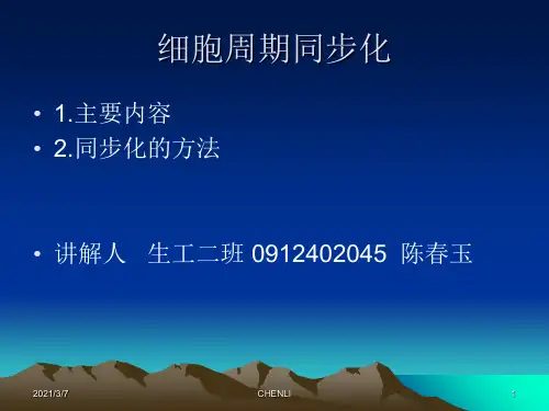 细胞周期同步化PPT课件