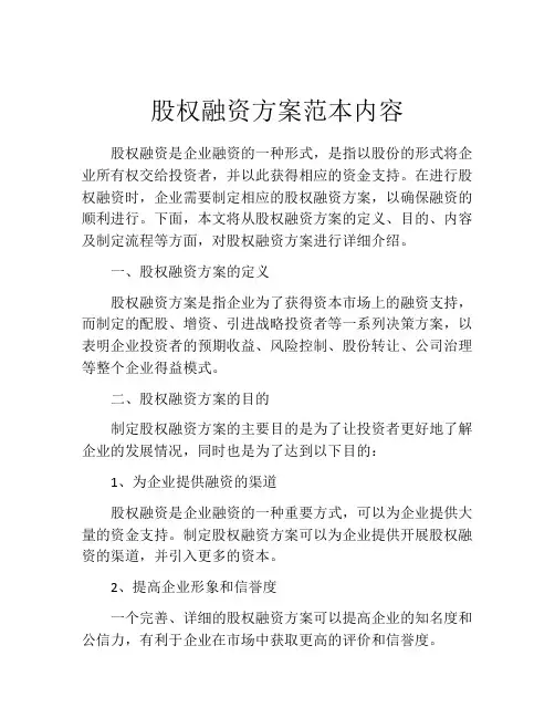 股权融资方案范本内容 (3)