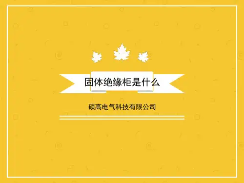 固体绝缘柜是什么