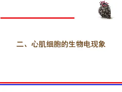 心肌细胞的生物电现象