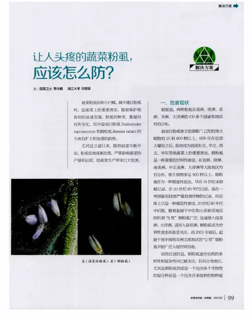 让人头疼的蔬菜粉虱,应该怎么防？