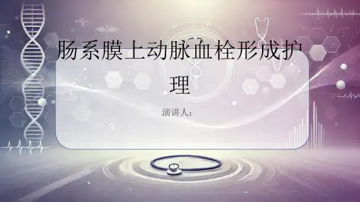 肠系膜上动脉血栓形成护理PPT课件