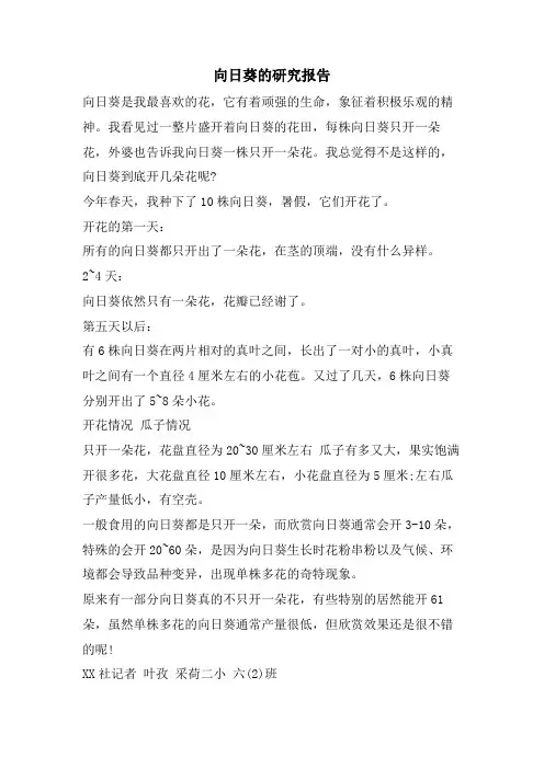 向日葵的研究报告