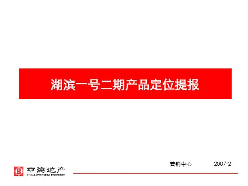 某别墅项目二期产品定位报告