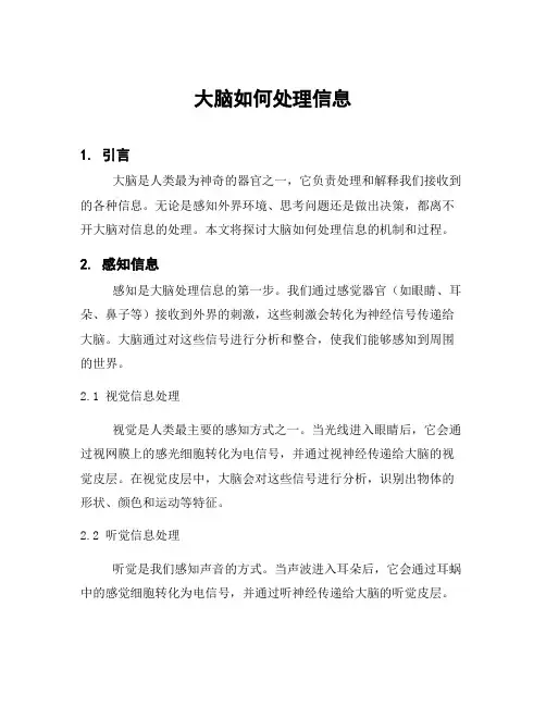 大脑如何处理信息