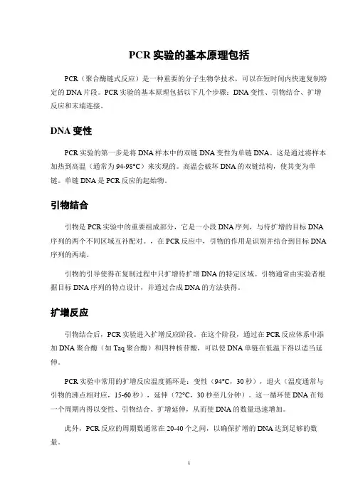 PCR实验的基本原理包括