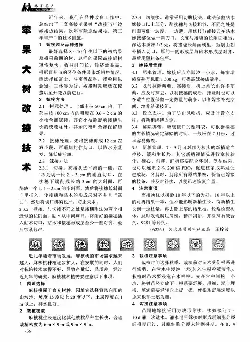 麻核桃栽培技术要点