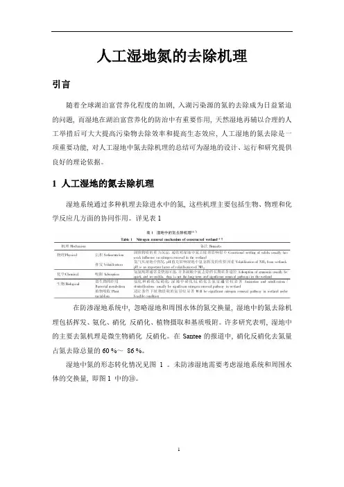 人工湿地氮的去除机理