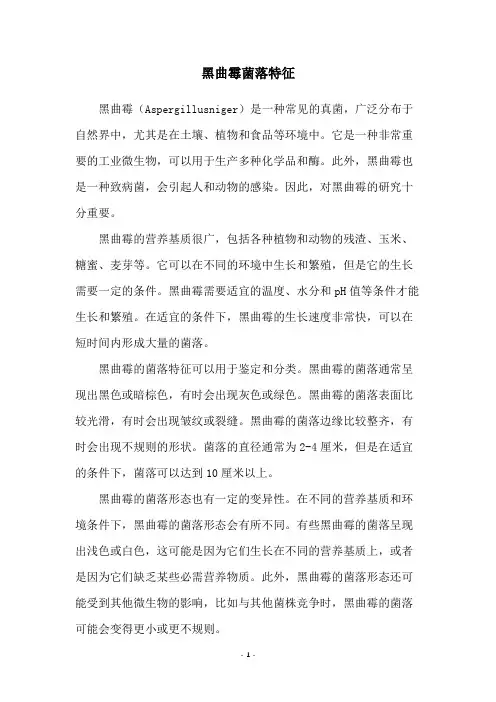 黑曲霉菌落特征