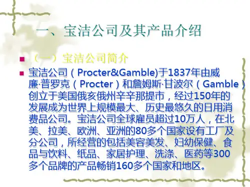 某日用品公司在中国的营销策略分析