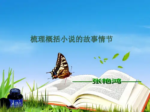 梳理概括小说故事情节