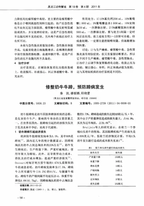 修整奶牛牛蹄,预防蹄病发生