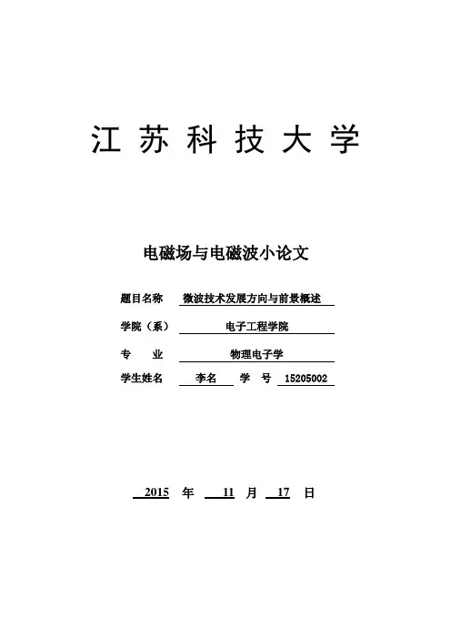 电磁波期末小论文 -