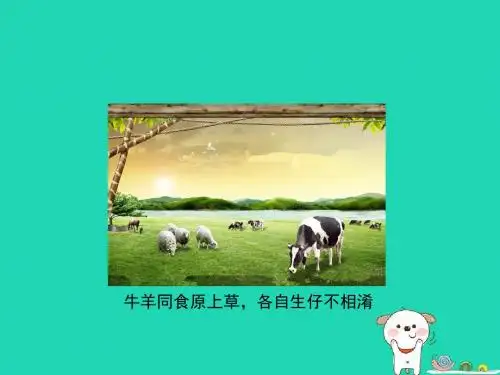 八年级生物上册4.4.2《性状的遗传》课件2(新版)济南版