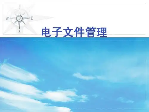 电子文件