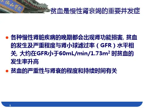 肾性贫血PPT课件
