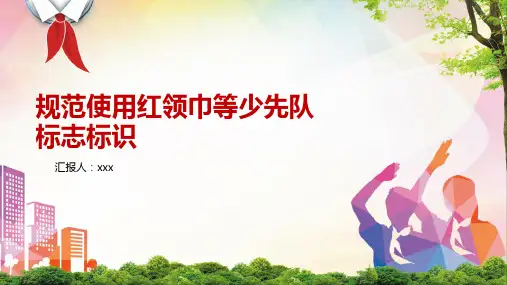 规范使用红领巾等少先队标志标识PPT
