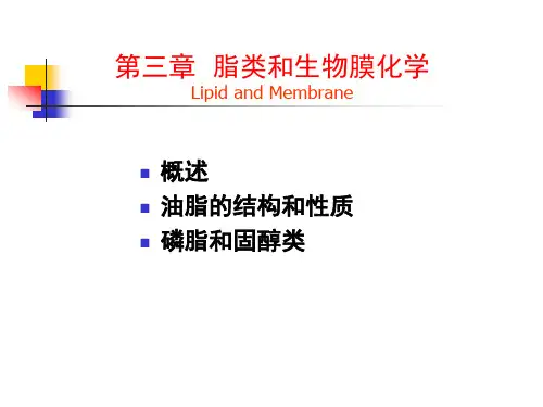 脂类与生物膜精品PPT课件