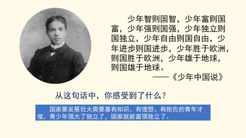 5.2 少年当自强 ppt（17张PPT）