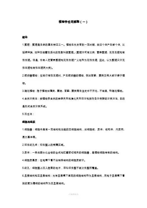 名词解释(一)