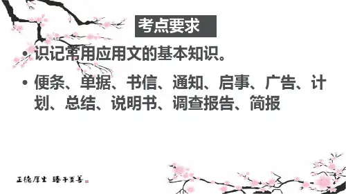 应用文知识点ppt课件