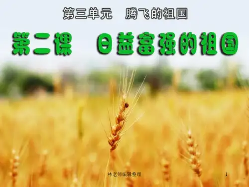 《日益富强的祖国》课件1