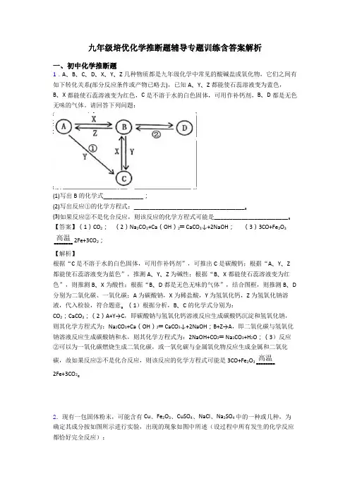 九年级培优化学推断题辅导专题训练含答案解析