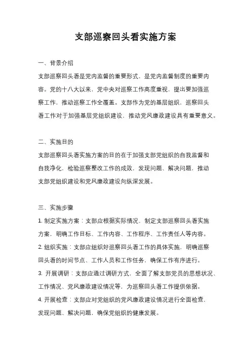 支部巡察回头看实施方案