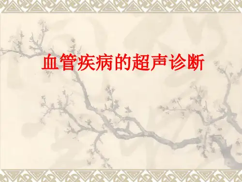 血管疾病的超声诊断