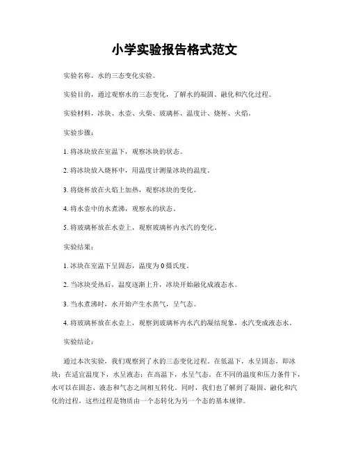 小学实验报告格式范文