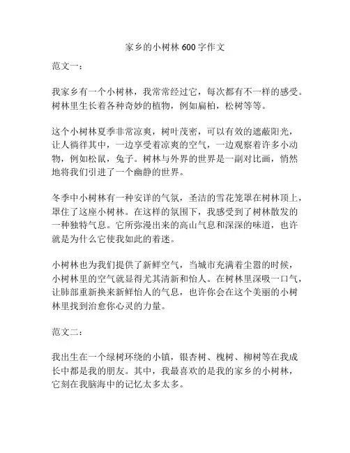 家乡的小树林600字作文