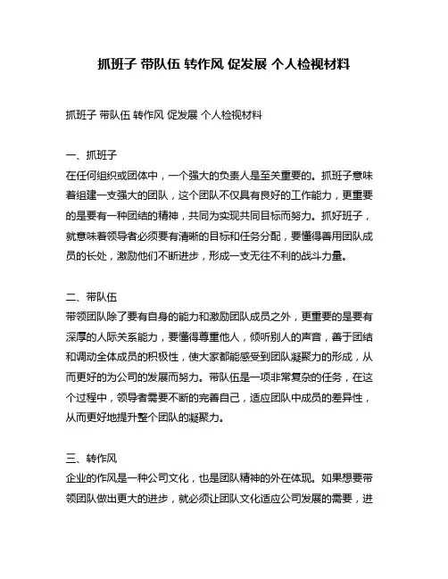 抓班子 带队伍 转作风 促发展 个人检视材料