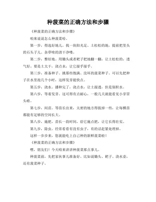 种菠菜的正确方法和步骤