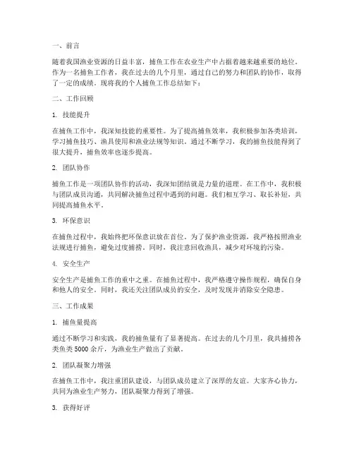 个人捕鱼工作总结