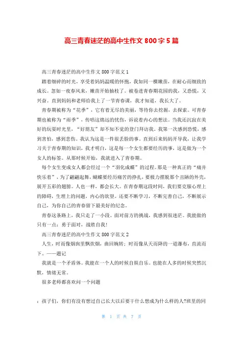 高三青春迷茫的高中生作文800字5篇